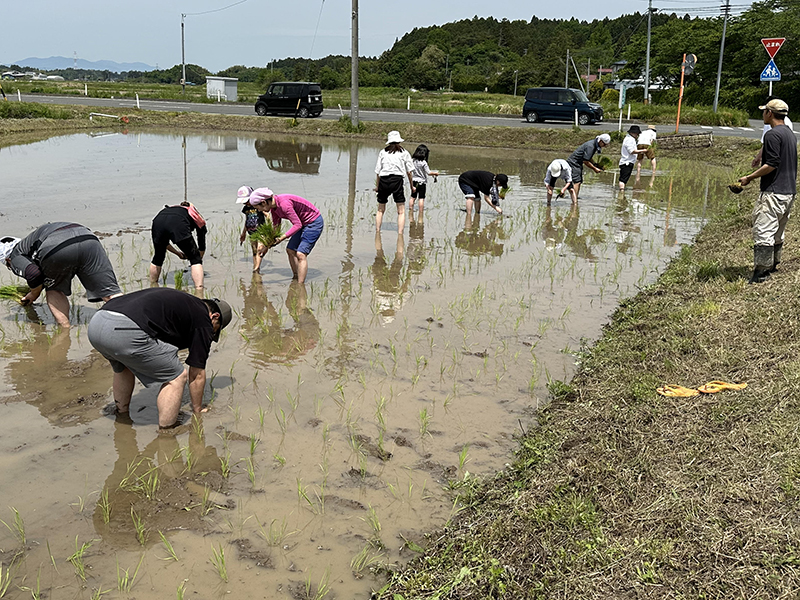 農福連携小農活動　センター南東北事業本部　農地借り、事業所の枠越え農業体験　ハードル下げ、「参加できるときだけ」「農を楽しむ」